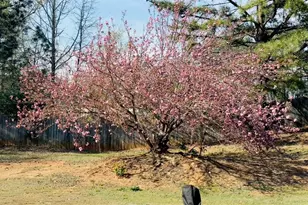 2737 Autumn Lake Ln, Decatur, GA 30034 - Photo 49