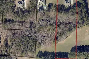 1058 Lawshe Rd, Senoia, GA 30276 - Photo 39
