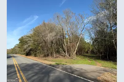 003 Ga Highway 45, White Plains, GA 31780 - Photo 1