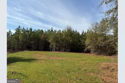 003 Ga Highway 45, White Plains, GA 31780 - Photo 3