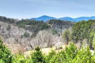 82 Indian Trace, Mineral Bluff, GA 30559 - Photo 17