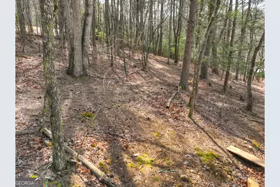 82 Indian Trace, Mineral Bluff, GA 30559 - Photo 65