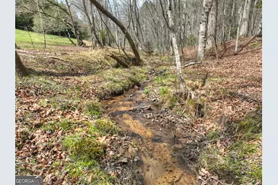 82 Indian Trace, Mineral Bluff, GA 30559 - Photo 55