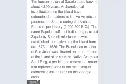 Pt Lt 24X E West Autobahn Road, Sapelo Island, GA 31327 - Photo 17