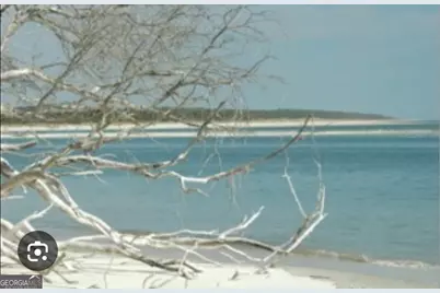 Pt Lt 24X E West Autobahn Road, Sapelo Island, GA 31327 - Photo 27