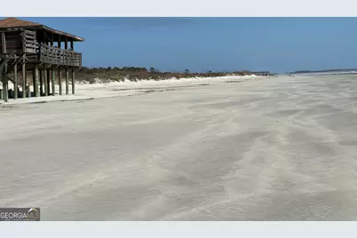 Pt Lt 24X E West Autobahn Road, Sapelo Island, GA 31327 - Photo 9