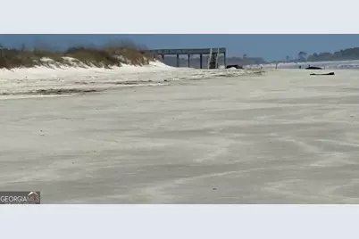 Pt Lt 24X E West Autobahn Road, Sapelo Island, GA 31327 - Photo 7