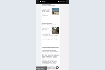 Pt Lt 24X E West Autobahn Road, Sapelo Island, GA 31327 - Photo 15