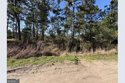 Pt Lt 24X E West Autobahn Road, Sapelo Island, GA 31327 - Photo 3