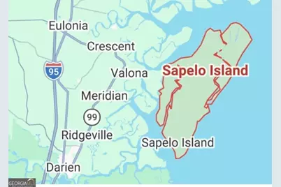 Pt Lt 24X E West Autobahn Road, Sapelo Island, GA 31327 - Photo 13