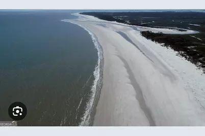 Pt Lt 24X E West Autobahn Road, Sapelo Island, GA 31327 - Photo 5