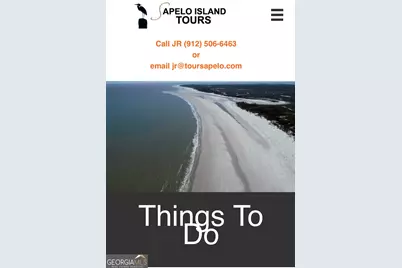 Pt Lt 24X E West Autobahn Road, Sapelo Island, GA 31327 - Photo 23