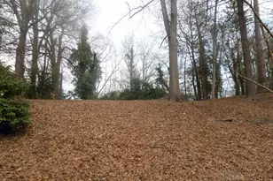 394 Christopher Dr, Gainesville, GA 30501 - Photo 3