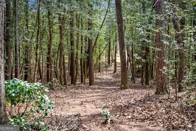 2954 Sugar Creek Road, Blue Ridge, GA 30513 - Photo 93