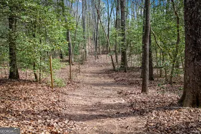 2954 Sugar Creek Road, Blue Ridge, GA 30513 - Photo 95