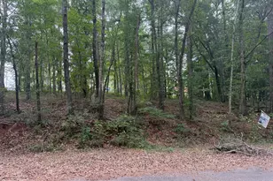 0 Glenwood Rd, Thomaston, GA 30286 - Photo 1