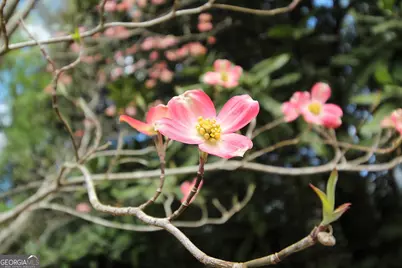 3 View Drive SE, Rome, GA 30161 - Photo 11