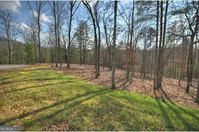 Lt 13 Rocky Ridge, Mineral Bluff, GA 30559 - Photo 3