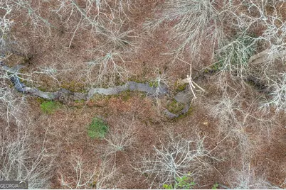 Lt 13 Rocky Ridge, Mineral Bluff, GA 30559 - Photo 15