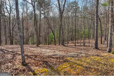 Lt 13 Rocky Ridge, Mineral Bluff, GA 30559 - Photo 5