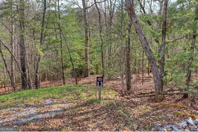 Lt 13 Rocky Ridge, Mineral Bluff, GA 30559 - Photo 9