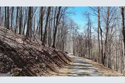 Lot 100 Timberline Acres #100, Young Harris, GA 30582 - Photo 3