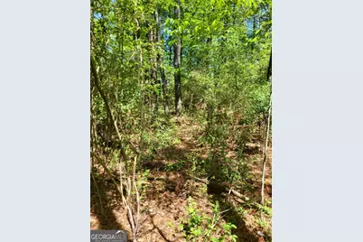0 NW Grove Park Place NW, Atlanta, GA 30318 - Photo 5