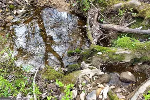 138 Paradise Ln, Blairsville, GA 30512 - Photo 27