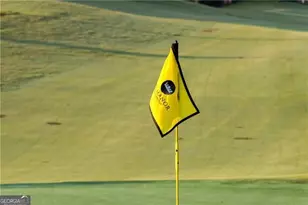 16163 Belford Dr, Milton, GA 30004 - Photo 65