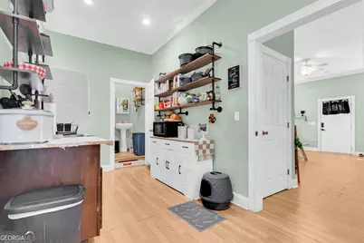 61 Turkey Creek Road, Carnesville, GA 30521 - Photo 59