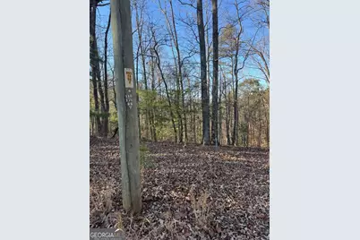0 Rebekah Ridge #LOT 1710, Talking Rock, GA 30175 - Photo 5