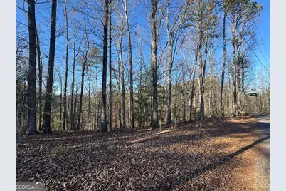 0 Rebekah Ridge #LOT 1710, Talking Rock, GA 30175 - Photo 1
