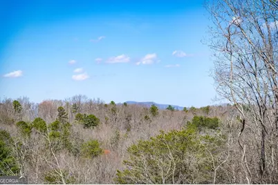 698 Oak Ridge Way, Ellijay, GA 30536 - Photo 57