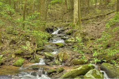 244 Wilderness Way, Ellijay, GA 30536 - Photo 51
