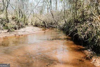 0 Washington Road, Lexington, GA 30648 - Photo 3