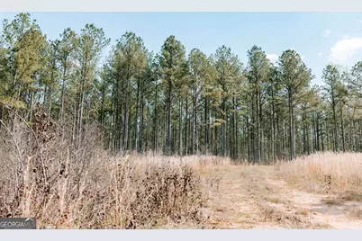 0 Washington Road, Lexington, GA 30648 - Photo 19