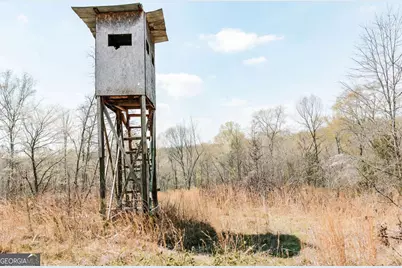 0 Washington Road, Lexington, GA 30648 - Photo 15