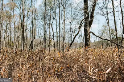 0 Washington Road, Lexington, GA 30648 - Photo 13