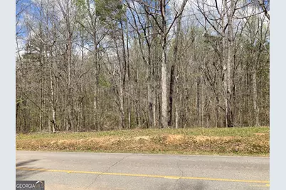 0 Hog Liver Road, Carrollton, GA 30117 - Photo 1