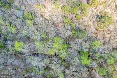 357 Old Copelan Road, Eatonton, GA 31024 - Photo 9