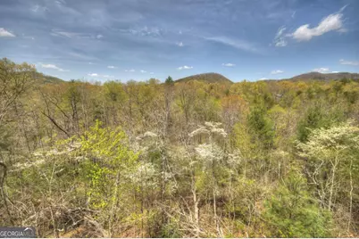 220 Lakota Lane, Mineral Bluff, GA 30559 - Photo 29