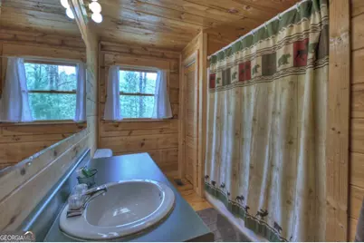 220 Lakota Lane, Mineral Bluff, GA 30559 - Photo 21