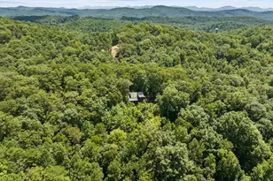 220 Lakota Ln, Mineral Bluff, GA 30559 - Photo 43