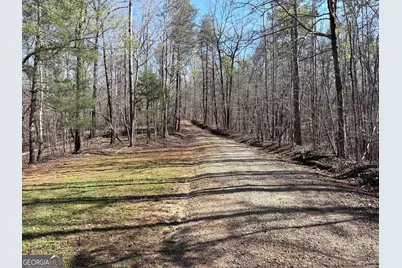 333 Laurel Mountain Drive, Toccoa, GA 30577 - Photo 19