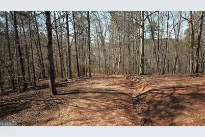 333 Laurel Mountain Drive, Toccoa, GA 30577 - Photo 17