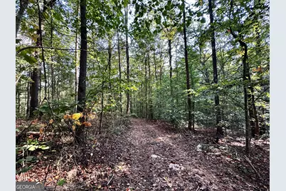 427 Kinney Creek Lane, Pendergrass, GA 30567 - Photo 7