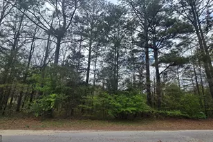 0 Cherry Rd, Franklin, GA 30217 - Photo 1