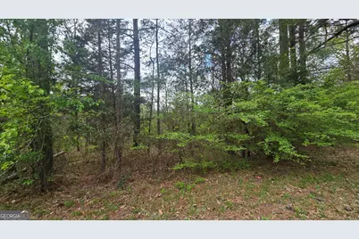 0 Cherry Road, Franklin, GA 30217 - Photo 9