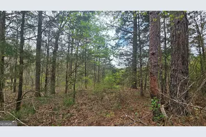 0 Cherry Road, Franklin, GA 30217 - Photo 7