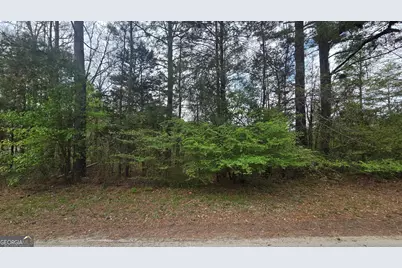 0 Cherry Road, Franklin, GA 30217 - Photo 3